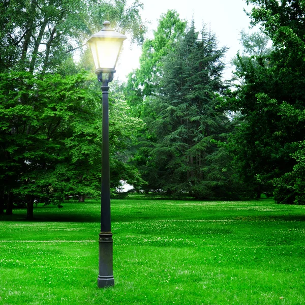 懐中電灯を照らす公園 — ストック写真