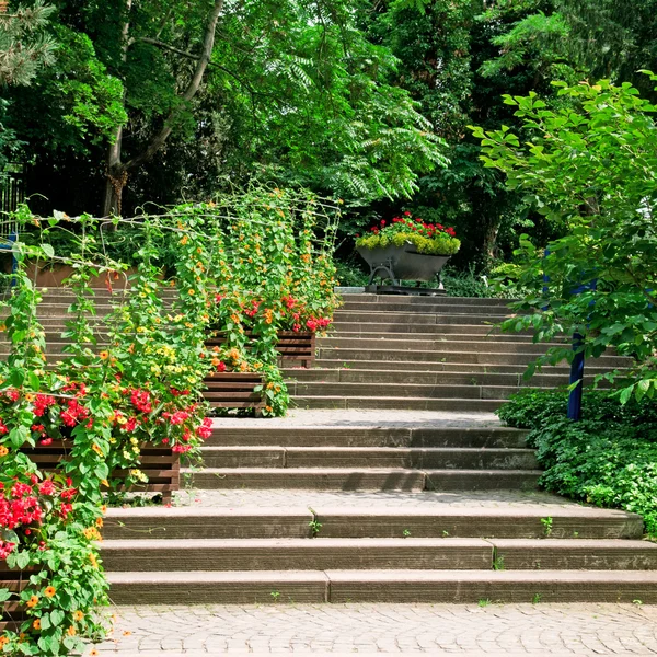 Schodiště v útulném park — Stock fotografie