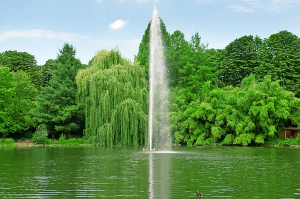 在湖的中心喷泉 — 图库照片