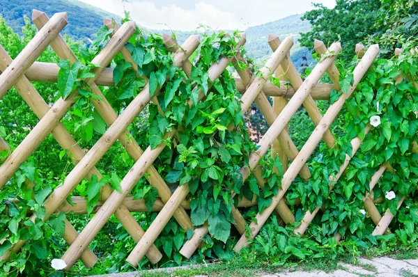 Wooden fence — Stock Photo, Image