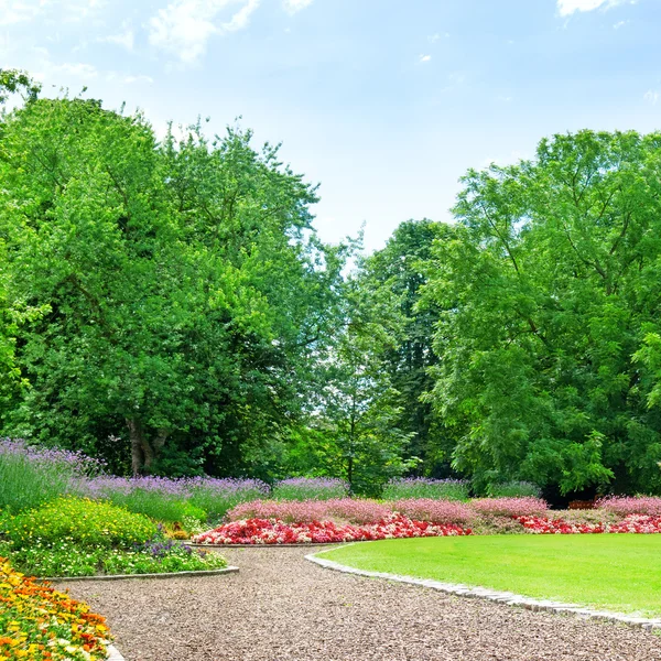 Jardim de verão com gramado e jardim de flores — Fotografia de Stock