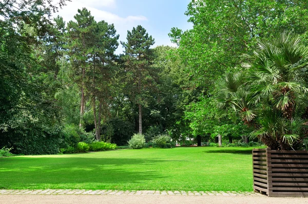 Hermoso parque y césped verde — Foto de Stock