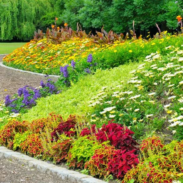 夏公園で楽しい花壇 — ストック写真