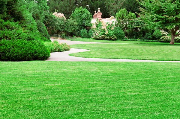 Parque de verano — Foto de Stock