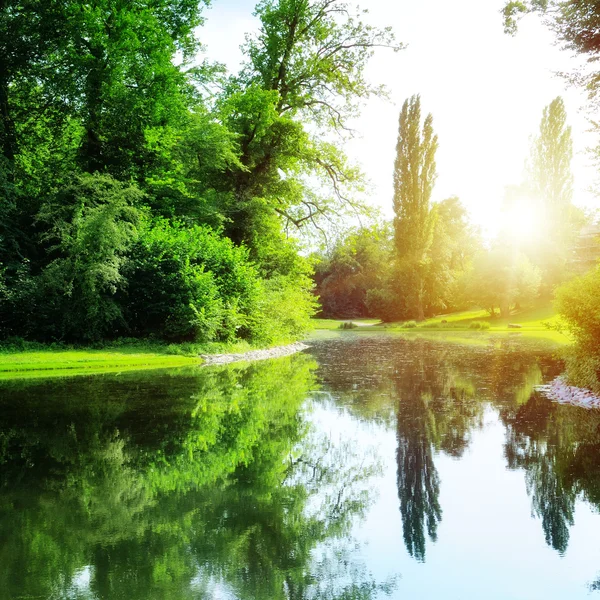 Landschaftlich reizvoller See im Sommerpark — Stockfoto