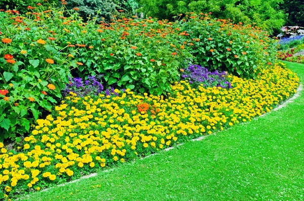 Schönes Blumenbeet im Sommerpark — Stockfoto