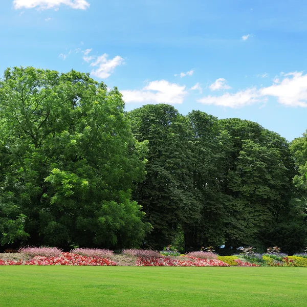 Jardín de verano con césped y jardín de flores — Foto de Stock