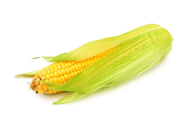 Maïs sur l'épi — Photo