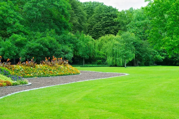 Zomertuin met gazon en de tuin van de bloem — Stockfoto