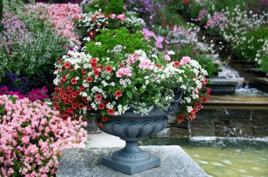 Güzel çiçek tarhı