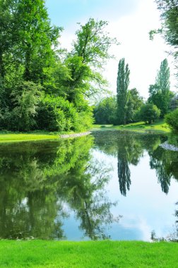 Yaz parkında manzara gölü