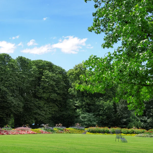 Zomer park — Stockfoto