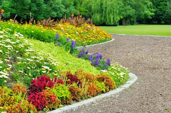 Delightful flower bed in the summer park — Stock Image Delightful flower bed in the summer park Stock Photo