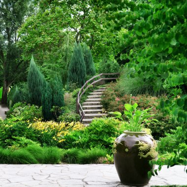 rahat park