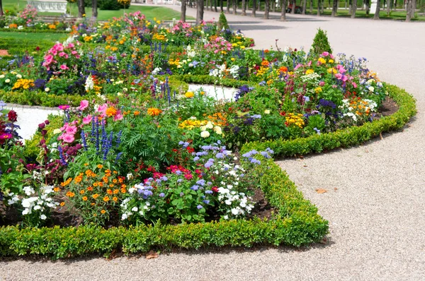 여름 공원에서 즐거운 꽃 침대 — 스톡 사진