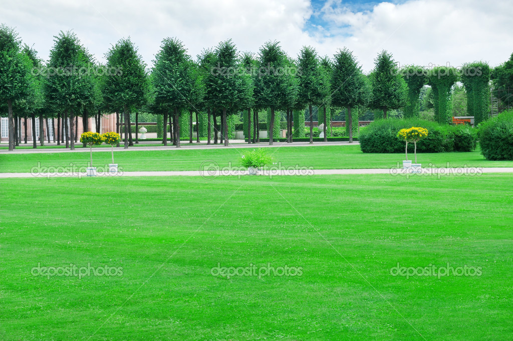 summer garden with beautiful lawns and avenues