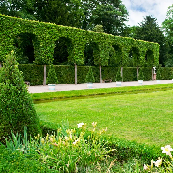 Gyde i parken - Stock-foto