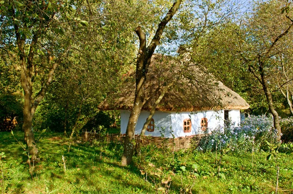 Vieille maison avec toit de chaume — Photo