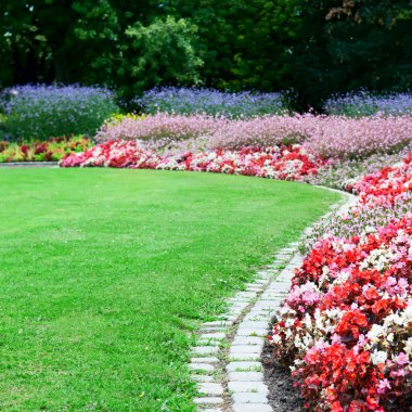 parlak çiçek yatak ve park yaz yeşil çimen