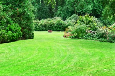 güzel Yeşil çimenler ile yaz park