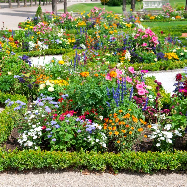 여름 공원에서 즐거운 꽃 침대 — 스톡 사진