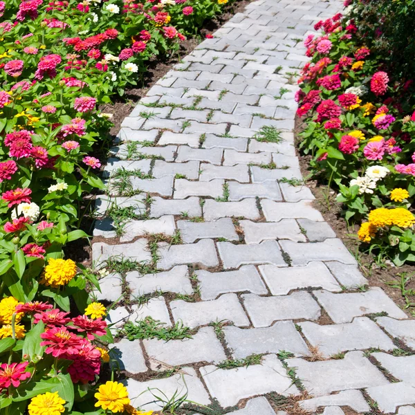 Chaussée et lit de fleurs colorées — Photo