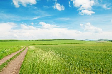 wheat field and country road clipart