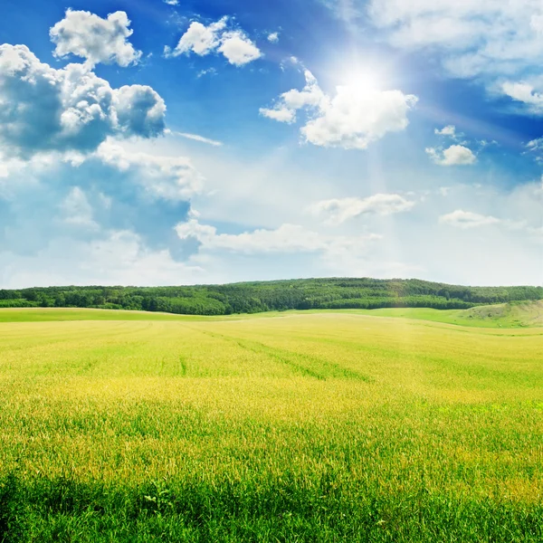 Beautiful sunset on spring field — Stockfoto