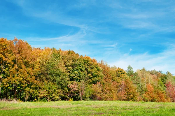 Herfst bos, groene weide en blauwe hemel — Stockfoto