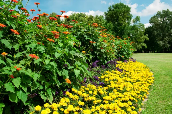 Gyönyörű virágágyás a nyári parkban — Stock Fotó