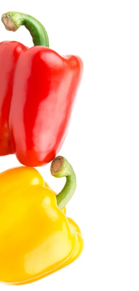 Paprika geel en rood geïsoleerd op witte achtergrond — Stockfoto