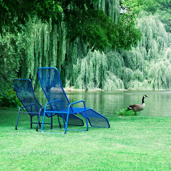 Parque con un lago pintoresco y áreas de recreación —  Fotos de Stock