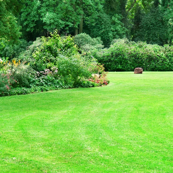 Parque de Verão — Fotografia de Stock