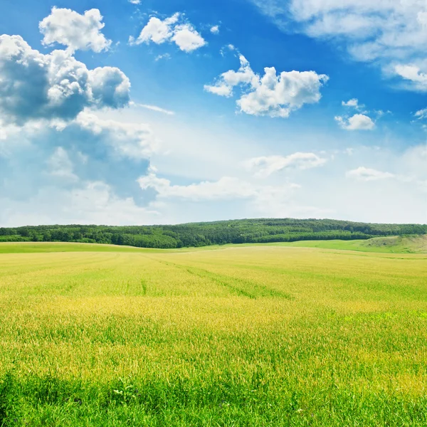 Campo y cielo —  Fotos de Stock