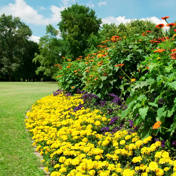 Mooie bloembed in zomerpark — Stockfoto
