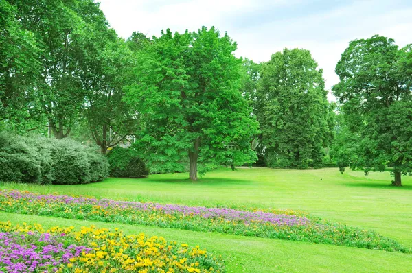 Sommaren park med gräsmatta och blomma trädgård — Stockfoto