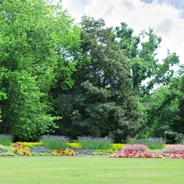 Bloeiende bloemperken in het park — Stockfoto