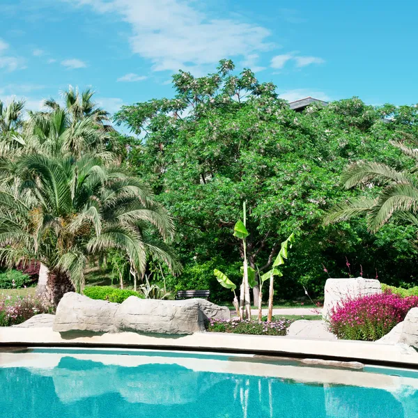 Palm trees and flowers around the outdoor pool — Stock Photo, Image