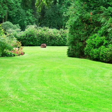 güzel Yeşil çimenler ile yaz park