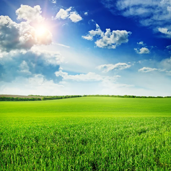 Belo pôr do sol no campo de primavera — Fotografia de Stock