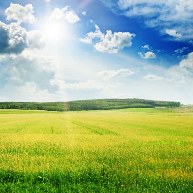 Beautiful sunset on spring field