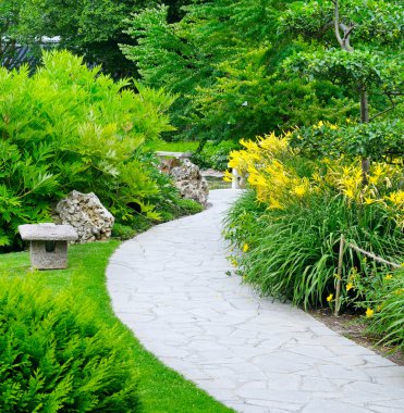 yolları ve çiçek yatak yaz park