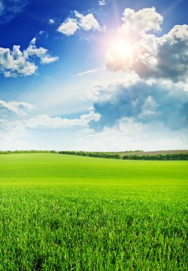 Beautiful sunset on spring field