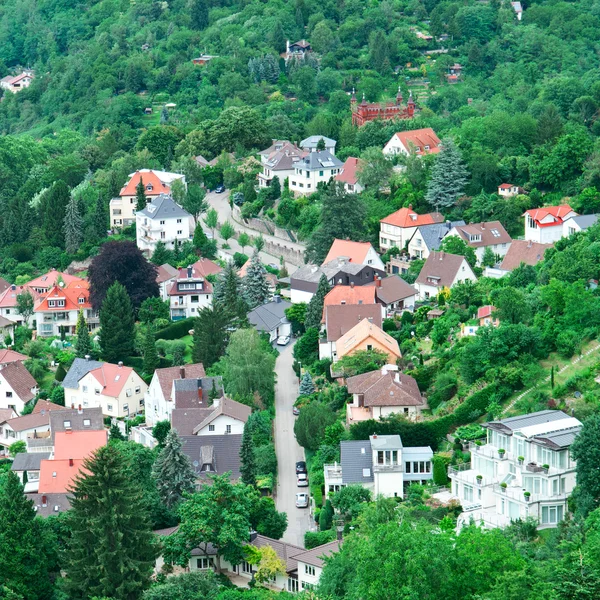 Paesaggio urbano e boschi vista dall'alto — Foto Stock