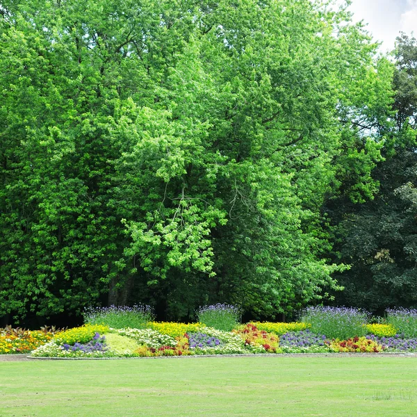 Blumenbeete im Park — Stockfoto