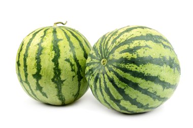 Beyaz arkaplanda karpuz izole