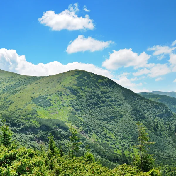 Góry pokryte drzewami i błękitne niebo — Zdjęcie stockowe