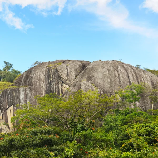 dağlar ve mavi gökyüzü sri Lanka