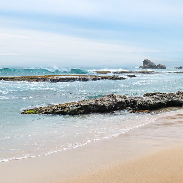 Bela costa do Oceano Índico — Fotografia de Stock