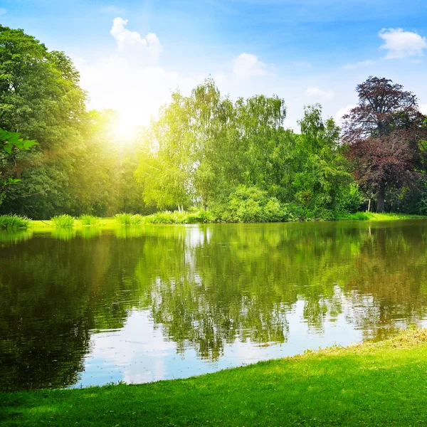 Живописное озеро в летнем парке — стоковое фото